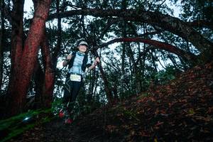 BIB: 
                            <button type="button" onclick="openModal(26342760)" class="btn btn-primary btn-sm float-right btn-popup" data-toggle="modal" data-target=".modal-high-quality">
                        <i class="fas fa-shopping-cart"></i> Add to Cart
                    </button>
                                            <button type="button" onclick="isThisMe(26342760, true)" class="btn btn-success btn-sm float-right btn-popup btn-isme hidden" data-toggle="tooltip" data-placement="bottom" title="นี่คือรูปของคุณใช่ไหม คลิกที่นี่เพื่อเอาเข้าอัลบั้ม">
                        <i class="fas fa-plus"></i> Add to album
                    </button>
                    <button type="button" onclick="isThisMe(26342760, false)" class="btn btn-warning btn-sm float-right btn-popup btn-isnotme hidden">
                        <i class="fas fa-ban"></i> Remove from album
                    </button>